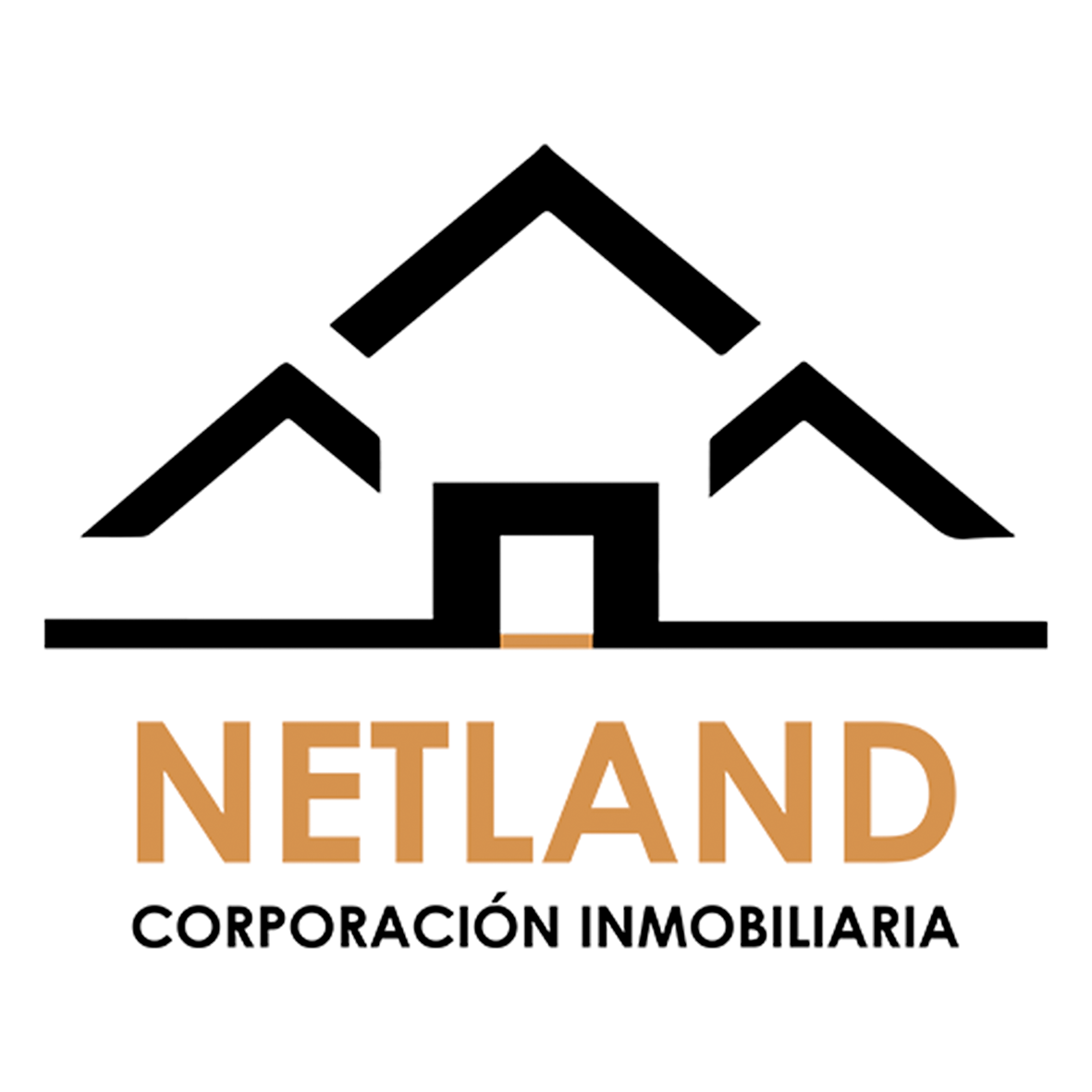 2 logo netland png bordes